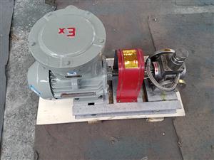 2CY4不锈钢齿轮泵