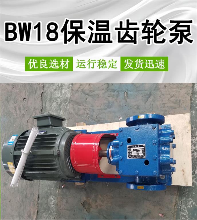 <strong>BW18保温齿轮泵</strong>