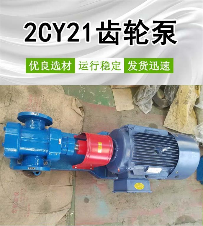 <strong>2CY21齿轮泵</strong>