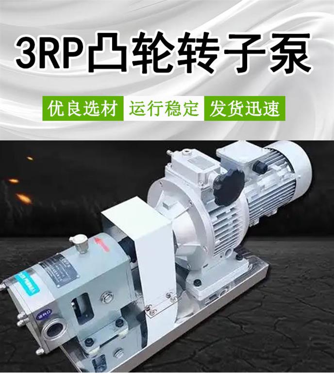 3RP60/0.6凸轮转子泵