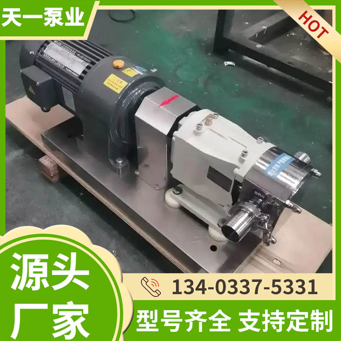 3RP60/0.6凸轮转子泵