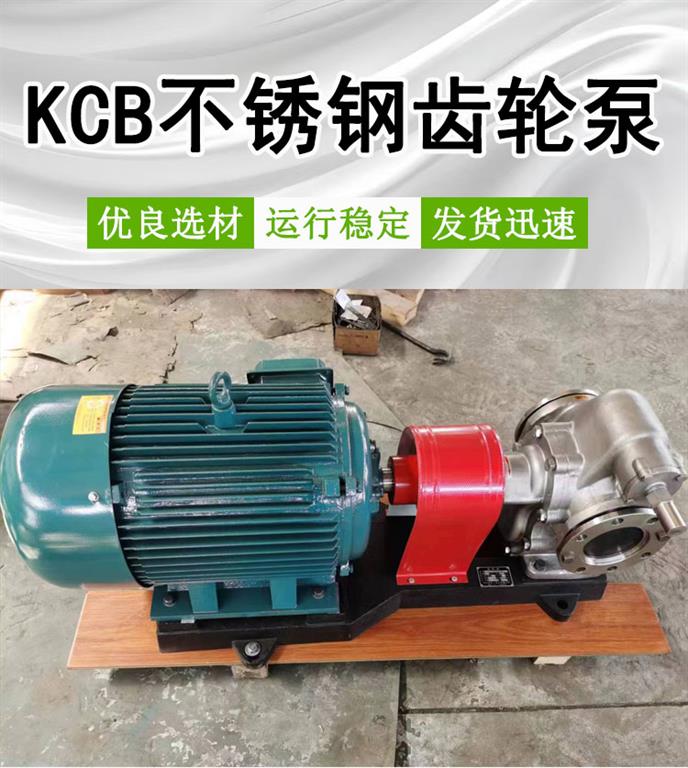 <strong>KCB960不锈钢齿轮泵</strong>
