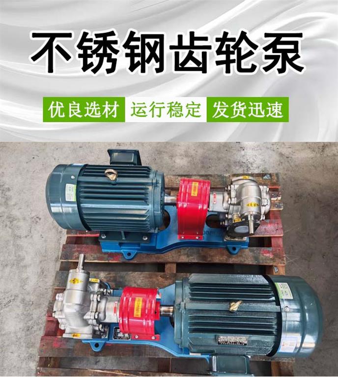 <strong>KCB200不锈钢齿轮泵</strong>