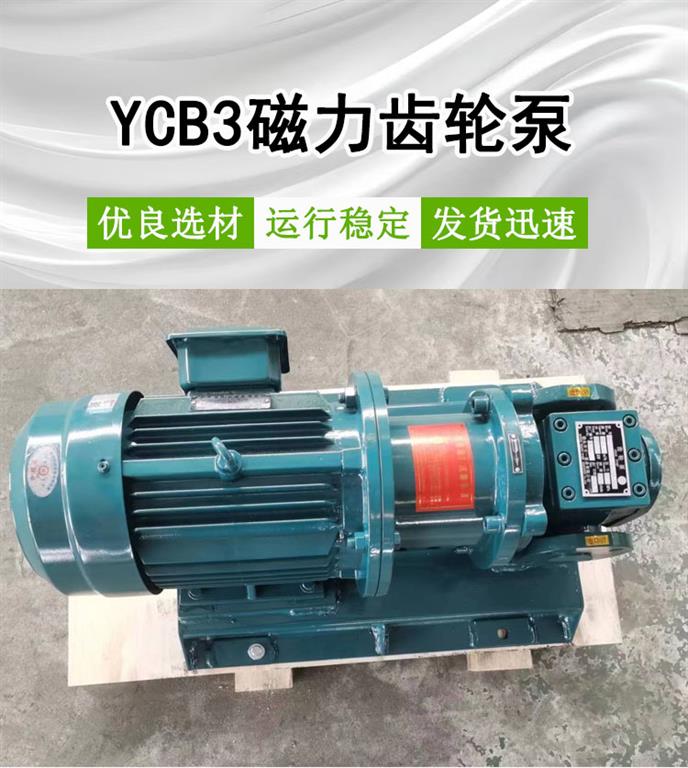 <strong>YCB3磁力齿轮泵</strong>