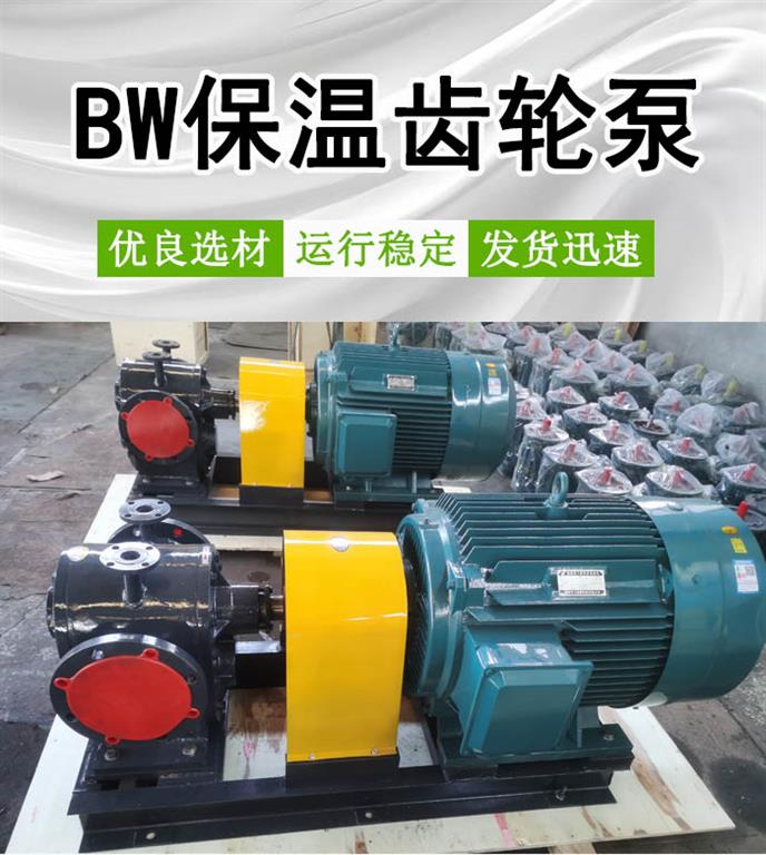 <strong>BW1600保温齿轮泵</strong>