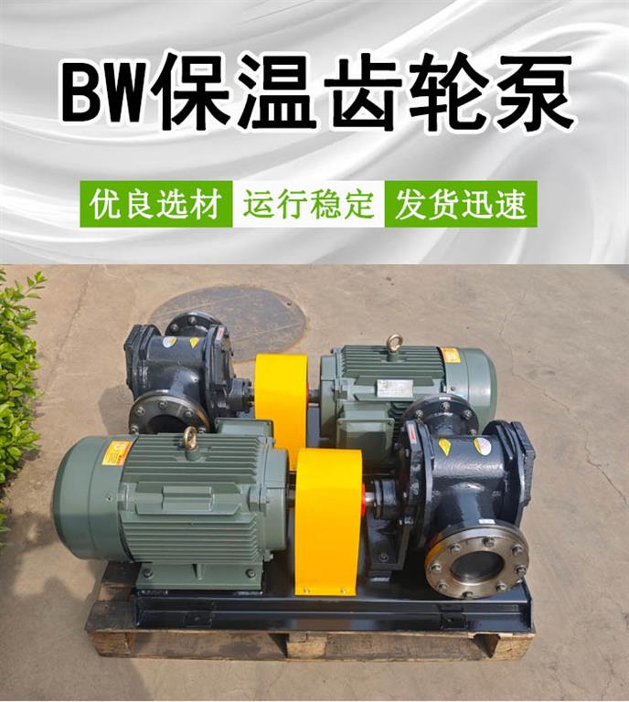 BW25/0.6保温齿轮泵