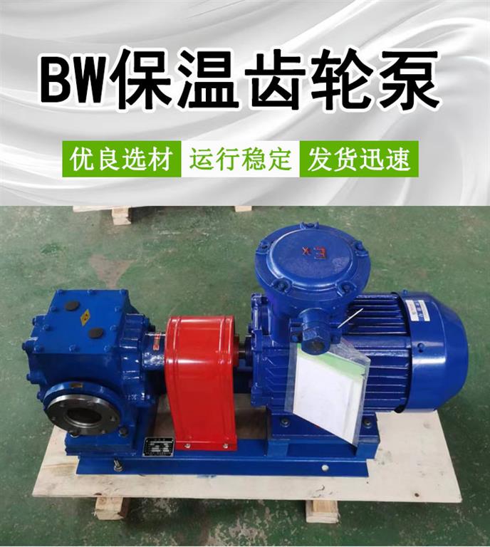 <strong>BW250保温沥青齿轮泵</strong>
