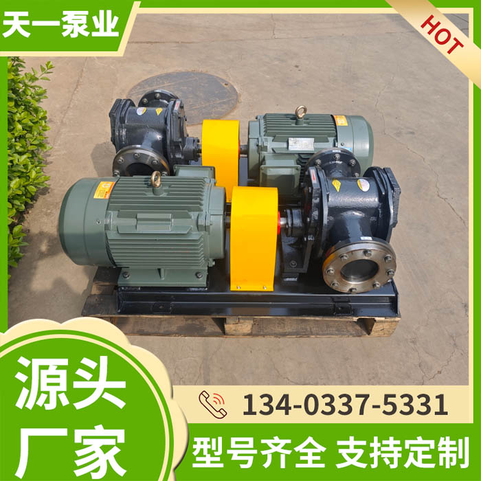 BW25/0.6保温齿轮泵