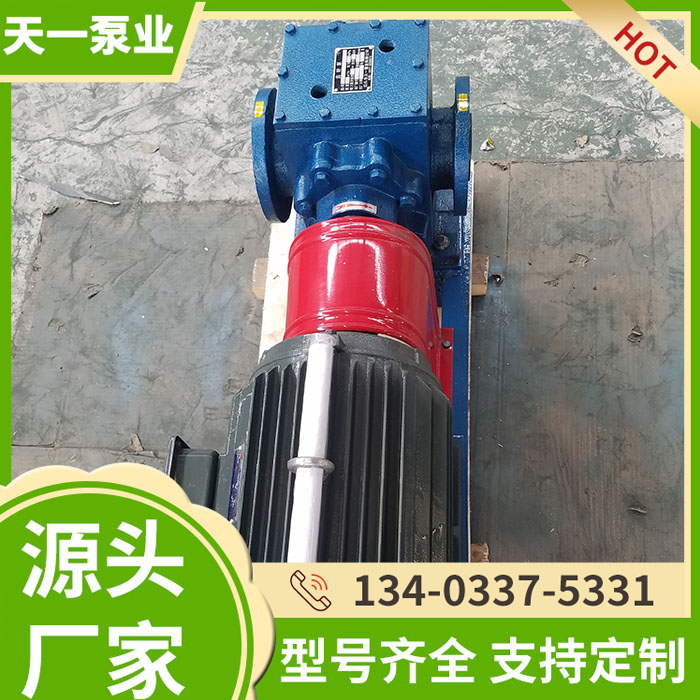 不锈钢保温齿轮泵
