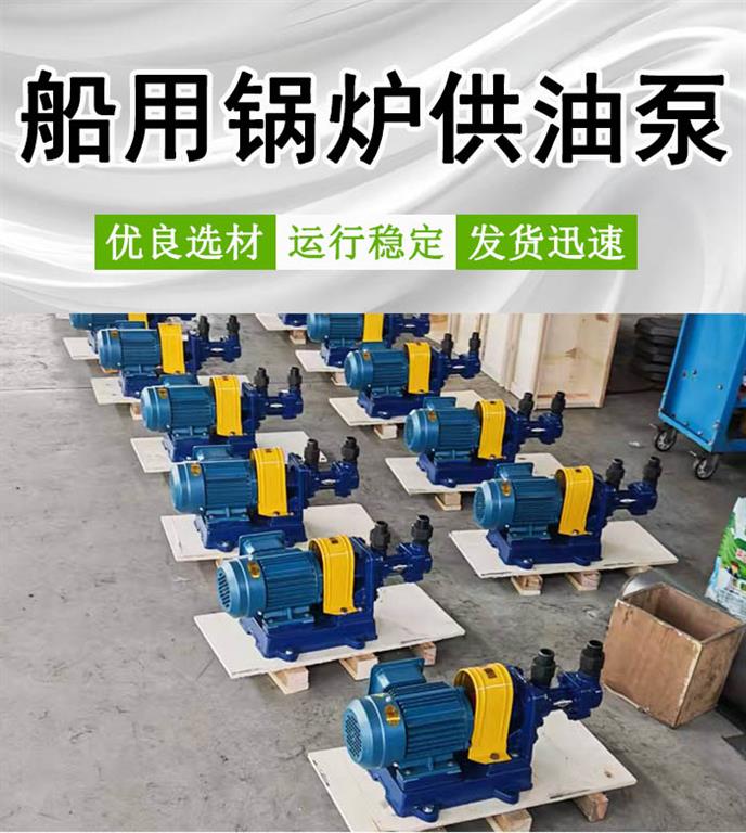 <strong>船用锅炉供油泵</strong>