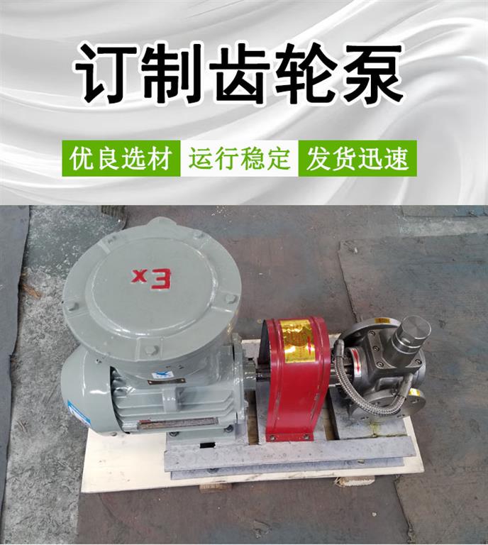 <strong>订制齿轮泵</strong>