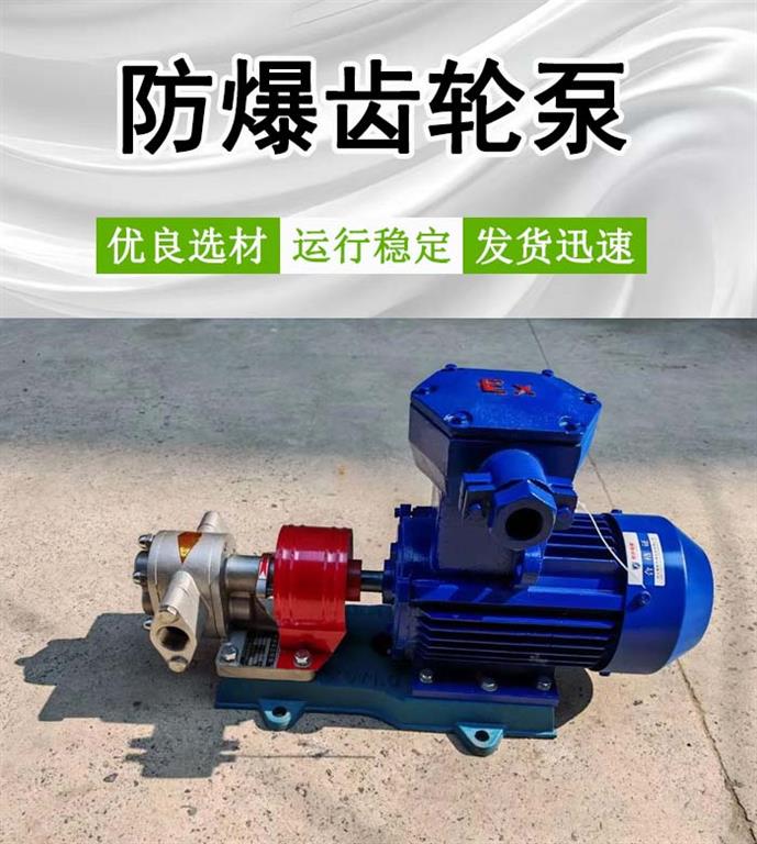 <strong>防爆齿轮泵</strong>