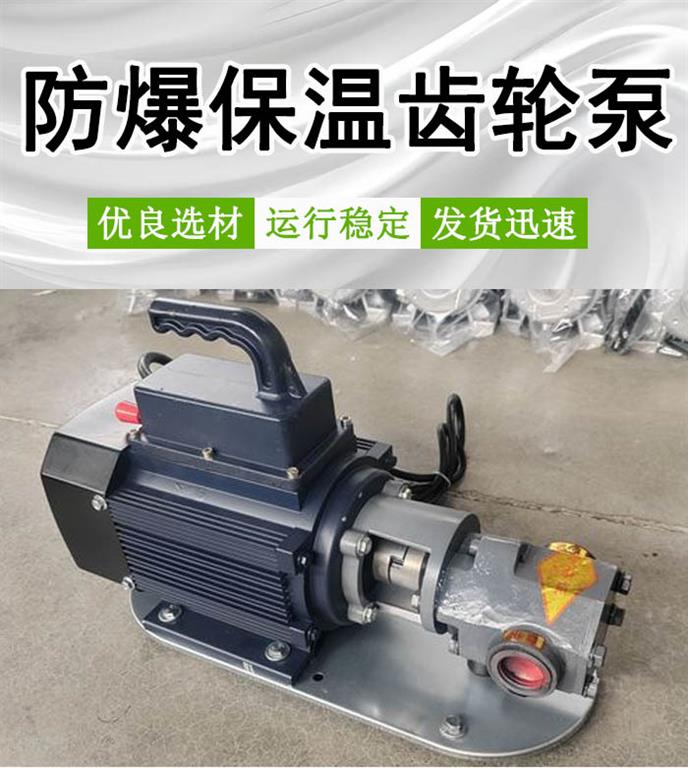 <strong>防爆保温齿轮泵</strong>