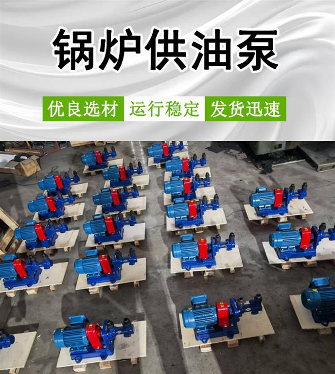 <strong>锅炉供油泵</strong>