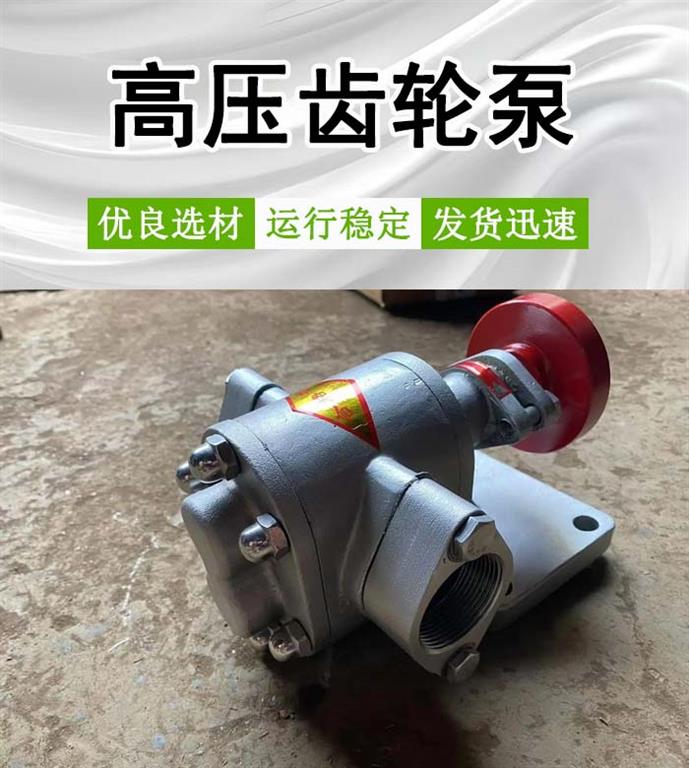 <strong>高压齿轮泵</strong>