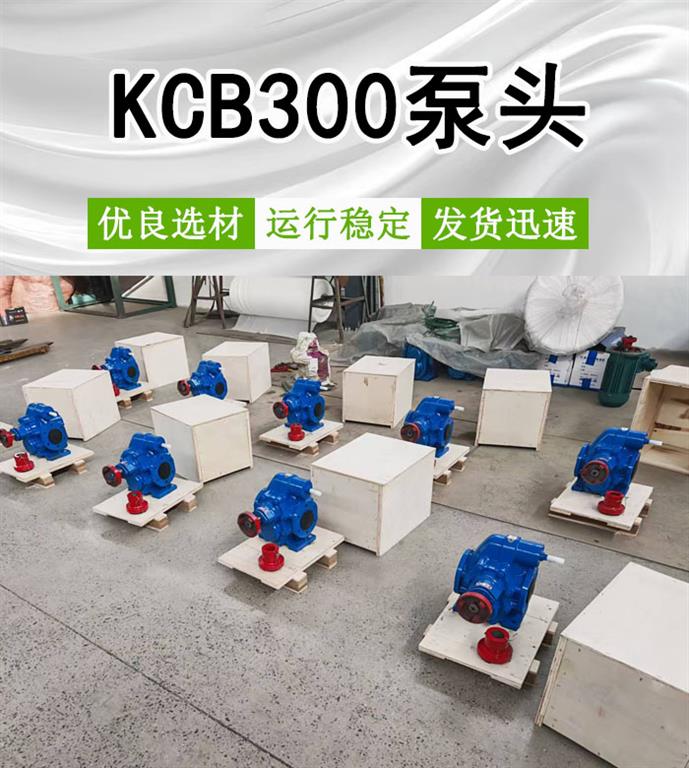 <strong>KCB300泵头</strong>