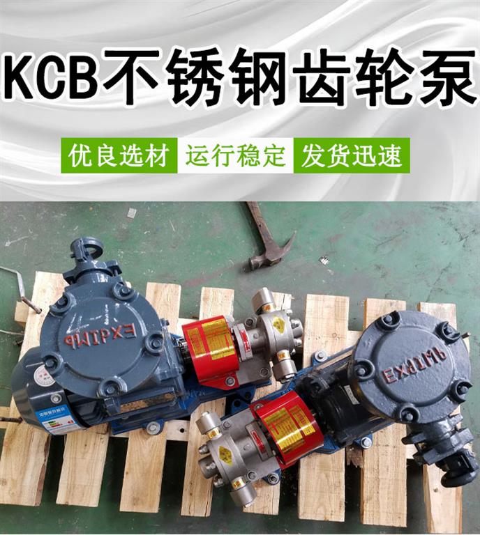 KCB18.3不锈钢齿轮泵