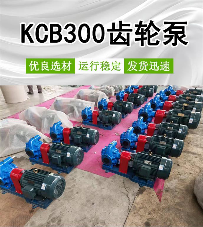<strong>KCB300齿轮泵</strong>