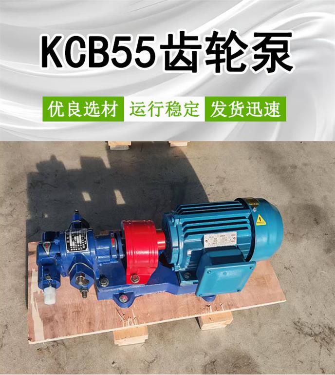<strong>KCB55船用齿轮泵</strong>