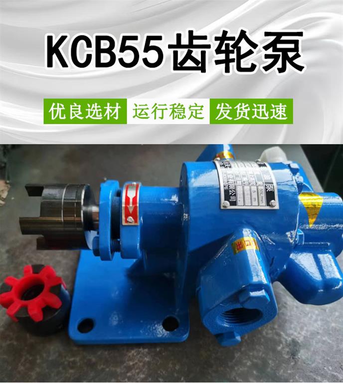 <strong>KCB55齿轮泵</strong>