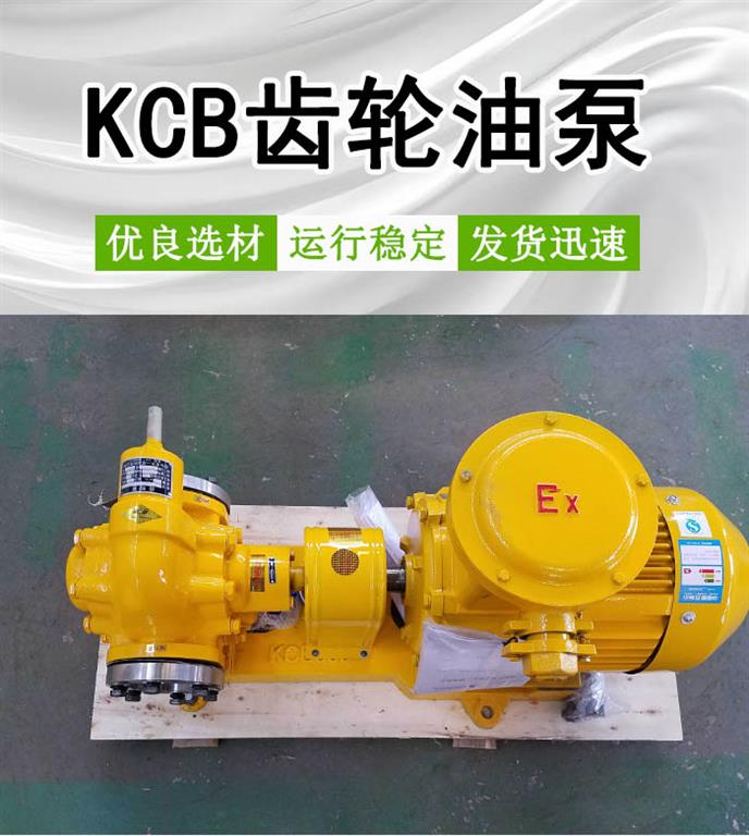 <strong>KCB齿轮油泵</strong>
