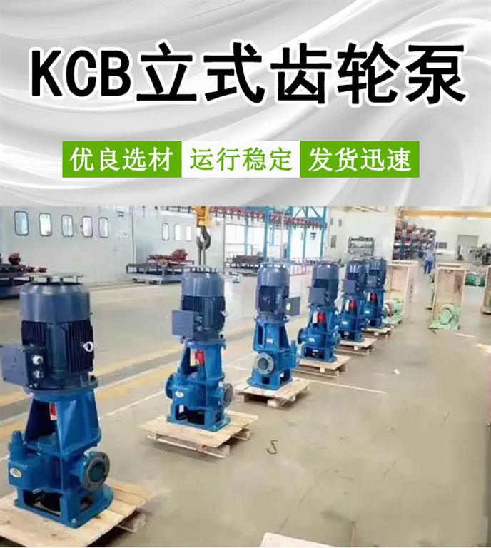 <strong>KCB立式齿轮泵</strong>