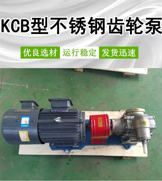 <strong>KCB型不锈钢齿轮泵</strong>