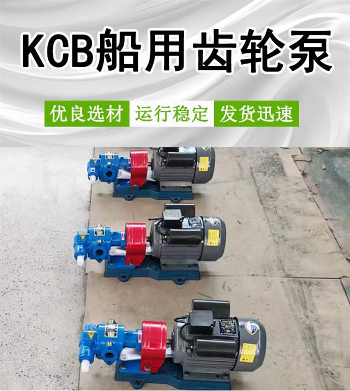 <strong>KCB船用齿轮泵</strong>