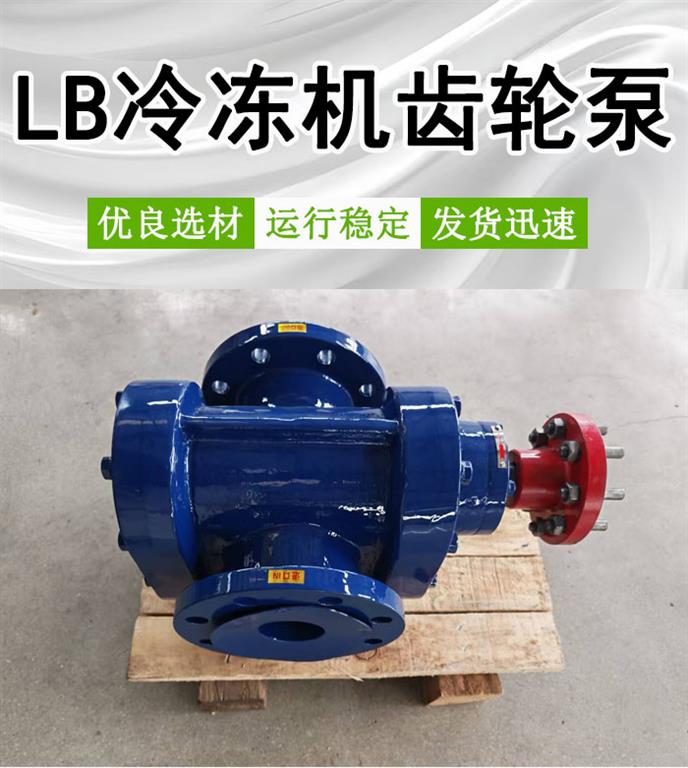 LB20/0.6冷冻机专用齿轮泵