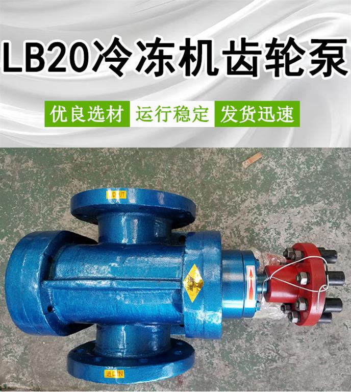 <strong>LB20冷冻机齿轮泵</strong>