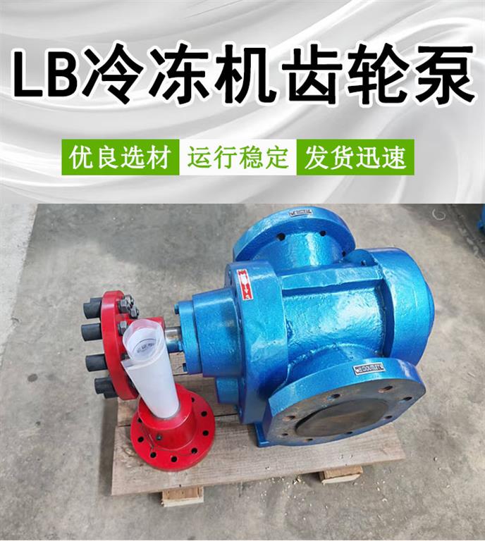 LB40/0.6冷冻机用齿轮泵