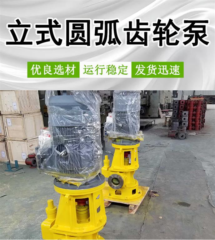 <strong>LYB30立式圆弧齿轮泵</strong>