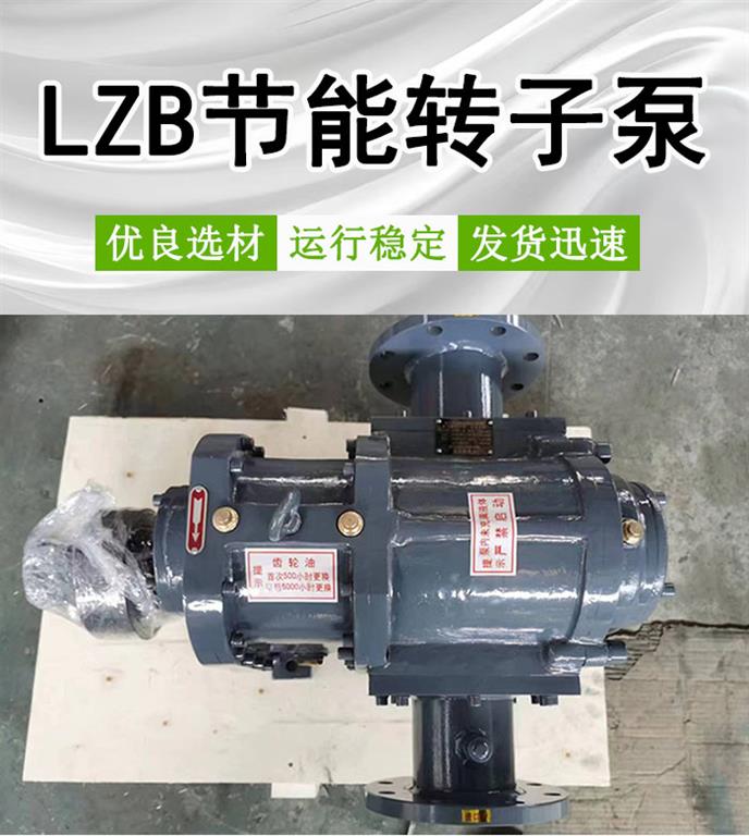 <strong>LZB节能转子泵</strong>
