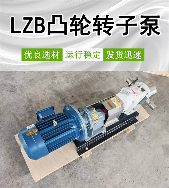 LZB10-0.3B凸轮转子泵