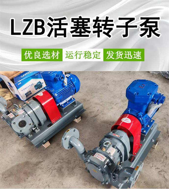 <strong>LZB50-8-0</strong>.<strong>4活塞转子泵</strong>