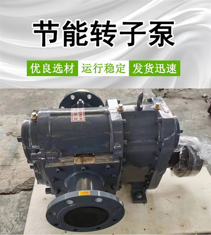 LZB60/0.8T节能转子泵