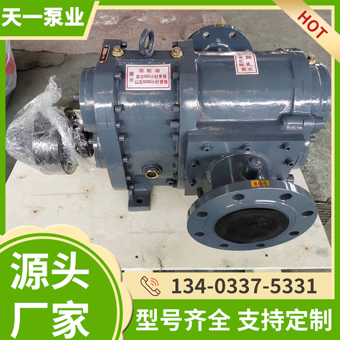 LZB60/0.8T节能转子泵