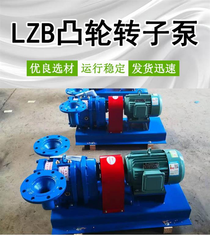<strong>LZB包胶凸轮转子泵</strong>