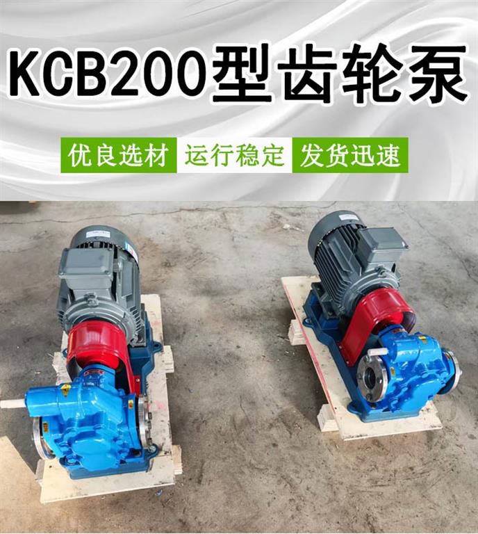 <strong>KCB200型齿轮泵</strong>