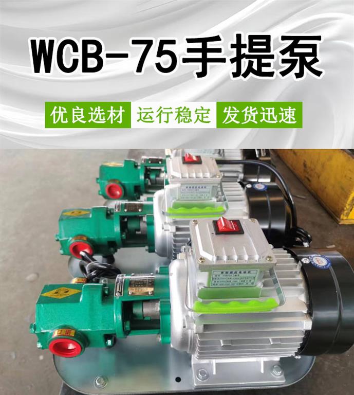 WCB-75手提泵