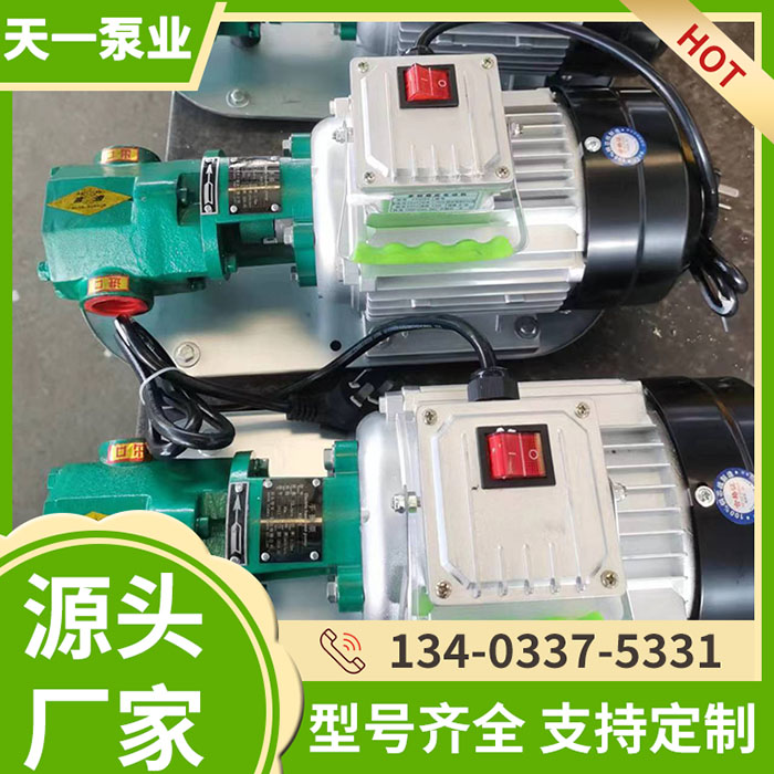 WCB-75手提泵