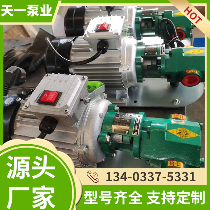 WCB-75手提泵
