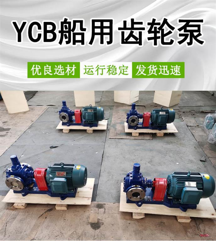YCB2.5/0.6船用圆弧齿轮泵