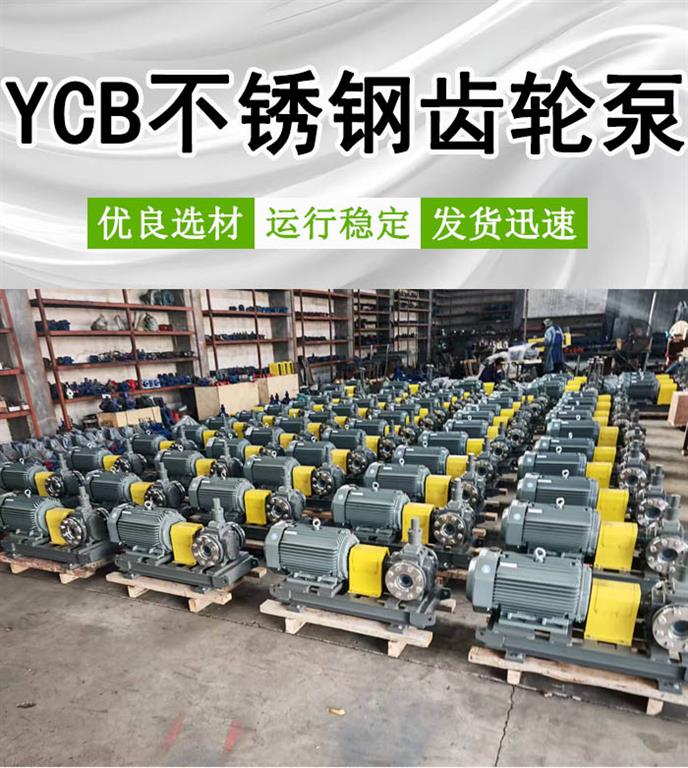 YCB10/0.6B不锈钢齿轮泵