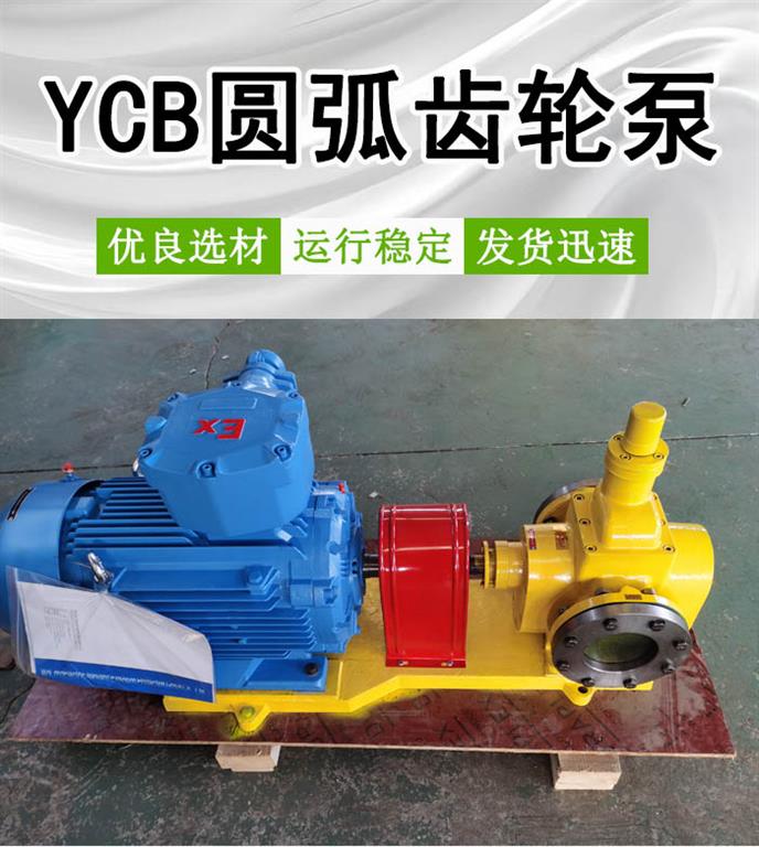 YCB25-0.6圆弧齿轮泵
