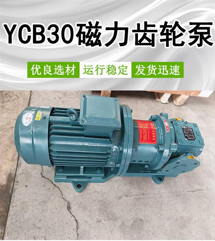 <strong>YCB30磁力齿轮泵</strong>