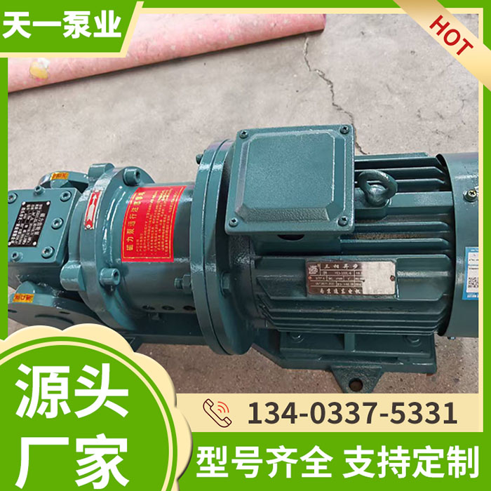 YCB30磁力齿轮泵