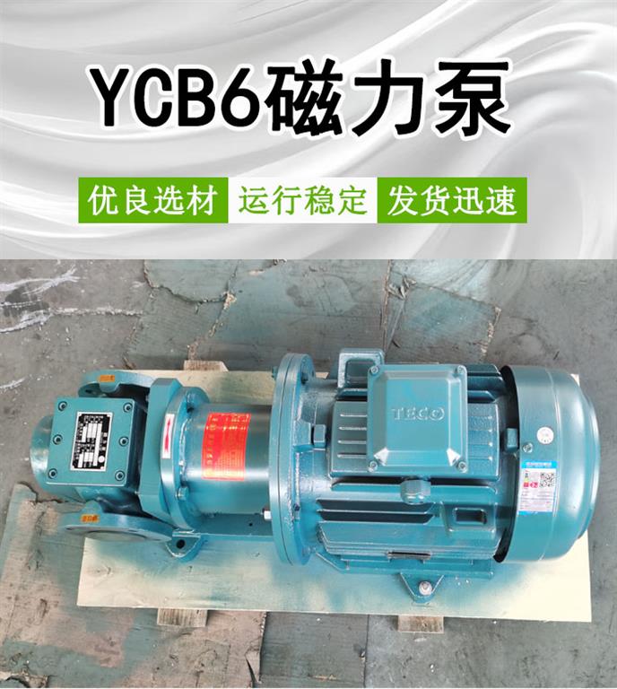 <strong>YCB6磁力泵</strong>