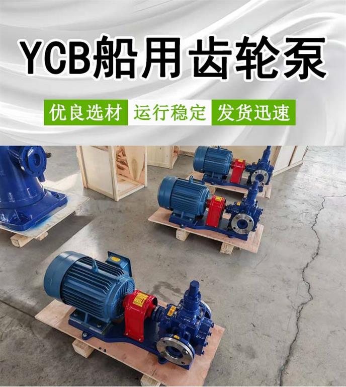 <strong>YCB船用齿轮泵</strong>