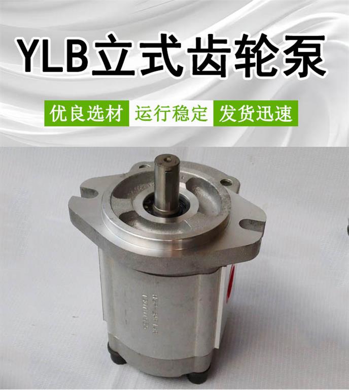 <strong>YLB20立式齿轮泵</strong>